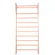 Wall Bars inSPORTline Dremar 200 x 80 cm