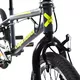 BMX Bike Capriolo Totem 20” 6.0 - Green Deep Grey