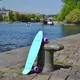 Műanyag gördeszka Fish Classic 22" - kék/ezüst/piros