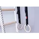 Wall Bars with Accessories BenchK 412