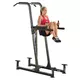 Vertical Knee Raise/Dip/Chin & Pull-Up Station Body Solid Fusion FCD