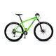 Horský bicykel 4EVER Fever 29" - model 2017 - strieborno-modrá - matne zelená