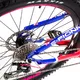 Crussis e-Fionna 7.5-S E-Mountainbike - Modell 2020