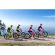 Damen E-Mountainbike Crussis e-Fionna 9.6-S - model 2021