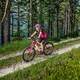 Crussis e-Guera 10.4 - Damen Elektro Mountainbike Modell 2019