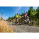 Mountain E-Bike Crussis e-Guera 5.6 - model 2021