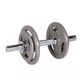 Plate-Loaded Dumbbell Set inSPORTline Hamerton 167 + 40 cm/30 mm 50 kg