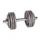 Single-Handed Plate-Loaded Dumbbell Set inSPORTline Hamerton 2 x 20 kg