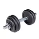 Plate-Loaded Dumbbell Set inSPORTline Castblack 160 + 120 + 40/30 mm 125 kg