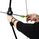 Archery Set inSPORTline Markub 15 lbs