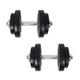 Dumbbell Set w/ Dip Station inSPORTline Power Tower 3-50 kg