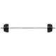 Dumbbell Set w/ Dip Station inSPORTline Power Tower 3-50 kg