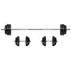 Dumbbell Set w/ Dip Station inSPORTline Power Tower 3-50 kg