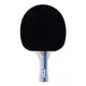 Table Tennis Paddle inSPORTline Ratai S1