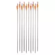 Carbon Arrows w/ Screw-In Tips inSPORTline Carbison 30” – 10 Pcs.