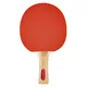 Table Tennis Paddle inSPORTline Shootfair S2