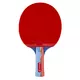 Table Tennis Paddle inSPORTline Shootfair S5