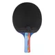 Table Tennis Paddle inSPORTline Shootfair S5