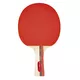 Table Tennis Set inSPORTline Ekiset EK2