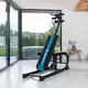 Inversion Table inSPORTline Inverso Ele