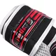 MMA/Workout Gloves inSPORTline Tigerpaw - S