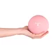Jóga míč inSPORTline Yoga Ball 1 kg - mentolová