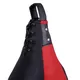 Punching Bag inSPORTline Piorra Small