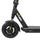 E-Scooter W-TEC Dalehunter 10” - Black