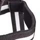 Head Strap inSPORTline Exetiza