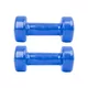 Vinyl Dumbbell Set inSPORTline Smoothbell 2 x 2 kg