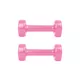 Vinyl Dumbbell Set inSPORTline Smoothbell 2 x 0.5 kg