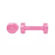 Vinyl Dumbbell Set inSPORTline Smoothbell 2 x 0.5 kg