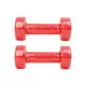 Vinyl Dumbbell Set inSPORTline Smoothbell 2 x 1.5 kg