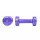 Vinyl Dumbbell Set inSPORTline Smoothbell 2 x 1 kg