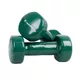 Vinyl Dumbbell Set inSPORTline Smoothbell 2 x 3 kg