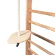 Hanging Swing for Wall Bars