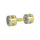 Chrome Dumbbell inSPORTline Yellsteel 10 kg