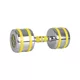 Chrome Dumbbell inSPORTline Yellsteel 12 kg