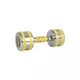 Chrome Dumbbell inSPORTline Yellsteel 8 kg