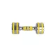 Chrome Dumbbell inSPORTline Yellsteel 3 kg