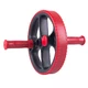 Regulowany wałek urządzenie do ćwiczeń fitness inSPORTline AB Roller AR500