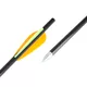 Fiberglass Arrows inSPORTline Frankson 34 cm – 10 Pcs.