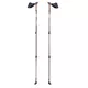 Kijki do chodzenia Nordic Walking inSPORTline Slogen regulowane