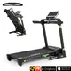 Treadmill inSPORTline inCondi T45i