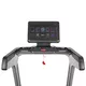 Treadmill inSPORTline Gardian G12TF