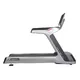 Treadmill inSPORTline Gardian G12TF