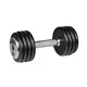 Profi dumbbell 12,5 kg