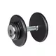 Single-Handed Dumbbell inSPORTline ProfiST 15 kg