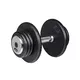 Single-Handed Dumbbell inSPORTline ProfiST 20 kg