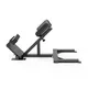 Хипперекстензия inSPORTline X-NT RC40